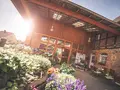 Papes Gemüsegarten - Hofladen Watenbüttel in Braunschweig Papes Gemüsegarten - Hofladen Watenbüttel in Braunschweig